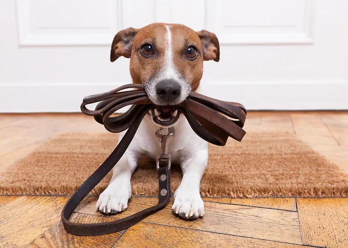 Luna By Schladming-appartements *